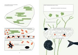 Innenansicht von „Wald ohne Bäume“