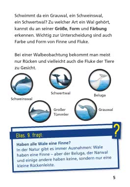 Pixi Wissen 8: Wale und Delfine