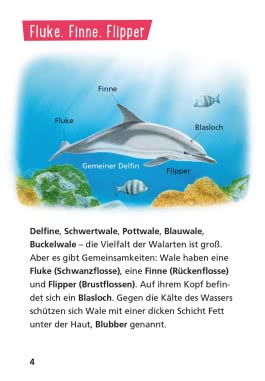 Pixi Wissen 8: Wale und Delfine