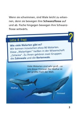 Pixi Wissen 8: Wale und Delfine