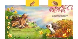 Was machen die Tiere im Frühling?