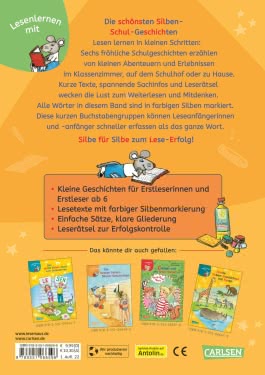 LESEMAUS zum Lesenlernen Sammelbände: 6er Sammelband: Die schönsten Silben-Schul-Geschichten