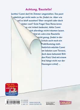 Conni & Co 15: Conni, das Traumzimmer und andere Baustellen