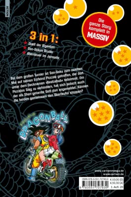 Dragon Ball Massiv 6