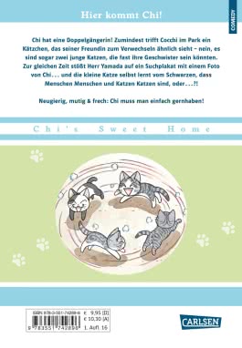 Kleine Katze Chi 10