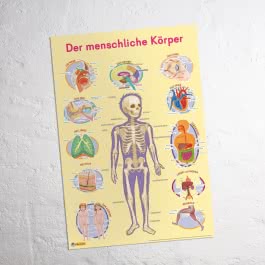 Mein Lernposter: 2er-Set Einmaleins / Der menschliche Körper
