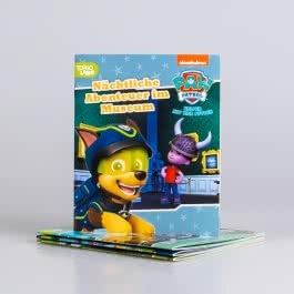 Nelson Mini-Bücher: 4er PAW Patrol 17-20