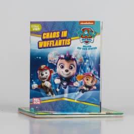 Nelson Mini-Bücher: 4er PAW Patrol 25-28