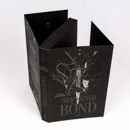 Blackened Blade 2: A Blackened Bond