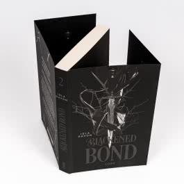 Blackened Blade 2: A Blackened Bond