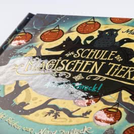 Die Schule der magischen Tiere 14: Ach du Schreck!