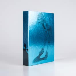 Battle Angel Alita - Other Stories - Perfect Edition - Limitiert im Schuber