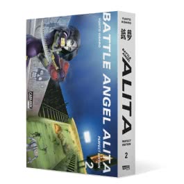 Battle Angel Alita - Perfect Edition 2