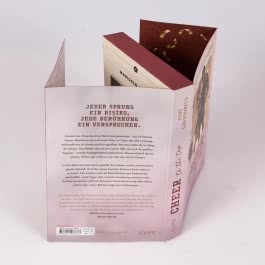 Cheer to the Top (Cheer 1)