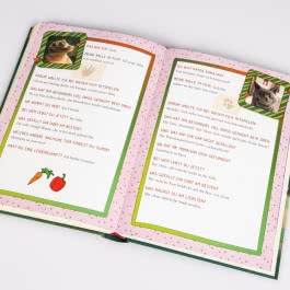 Die Schule der magischen Tiere 3: Das Buch zum Film 