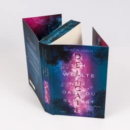 DELICATE. Ich wollte nur, dass du bleibst (Sparrow Falls 2)