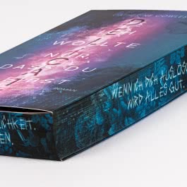 DELICATE. Ich wollte nur, dass du bleibst (Sparrow Falls 2)