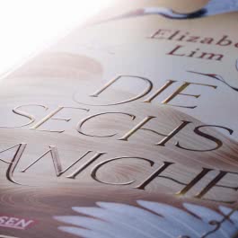 Die sechs Kraniche (Die sechs Kraniche 1)