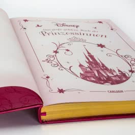 Disney: Das große goldene Buch der Prinzessinnen 