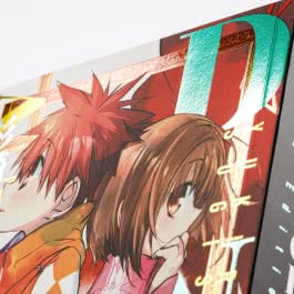 D.N. Angel Pearls 10