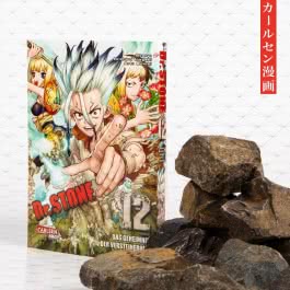 Dr. Stone 12