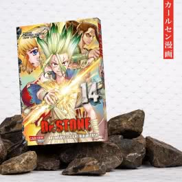 Dr. Stone 14