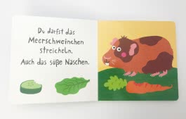 Du darfst die Katze streicheln 