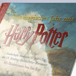 Ein magisches Jahr mit Harry Potter