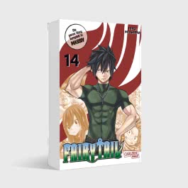 Fairy Tail Massiv 14