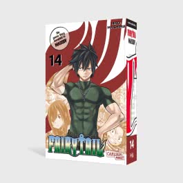 Fairy Tail Massiv 14