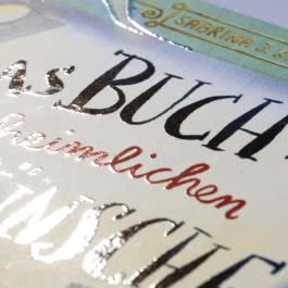 Das Buch der (un)heimlichen Wünsche 3: Filmstar gesucht