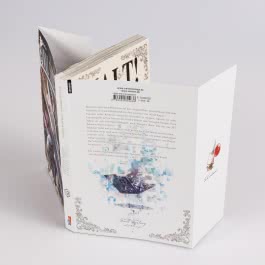 Final Fantasy − Lost Stranger 12