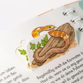 Frag doch mal ... die Maus!: Haustiere