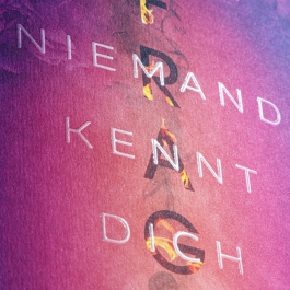 FRAGILE. Niemand kennt dich so wie ich (Sparrow Falls 1)