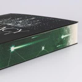 Legacy of Stars 1: Gezeichnetes Schicksal