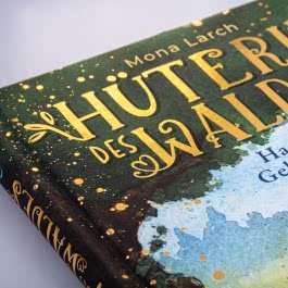 Hüterin des Waldes 1: Hannas Geheimnis