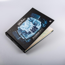 Harry Potter - Magische Orte