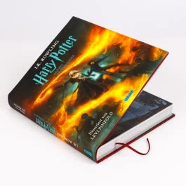 Harry Potter und der Halbblutprinz (Schmuckausgabe Harry Potter 6)