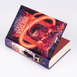 Harry Potter und der Halbblutprinz (Harry Potter 6)