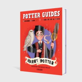 Potter Guides: Harry Potter