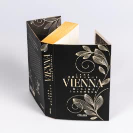 Vienna 2: Hiding Darkness 