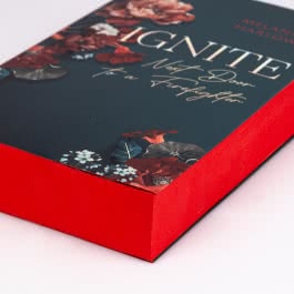 Ignite (New Beginnings at Cloverleigh Farm 1)