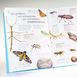 Insekten – Wissen und allerlei Drumherum
