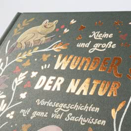 Kleine und große Wunder der Natur