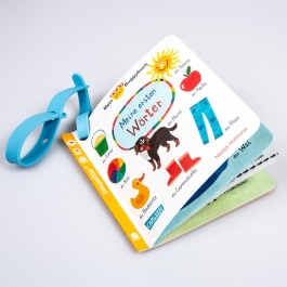 Baby Pixi (unkaputtbar) 98: Mein Baby-Pixi-Buggybuch: Meine ersten Wörter
