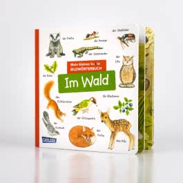 Mein kleines buntes Bildwörterbuch: Im Wald