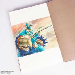 Nausicaä aus dem Tal der Winde: Doppelband-Edition 2