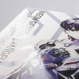 Neon Genesis Evangelion – Perfect Edition 1