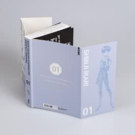 Neon Genesis Evangelion – Perfect Edition 1