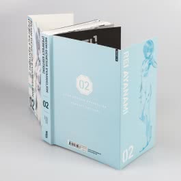 Neon Genesis Evangelion – Perfect Edition 2